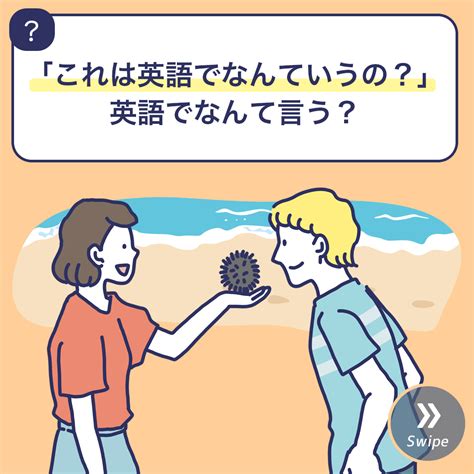 属人的 英語|属人的って英語でなんて言うの？